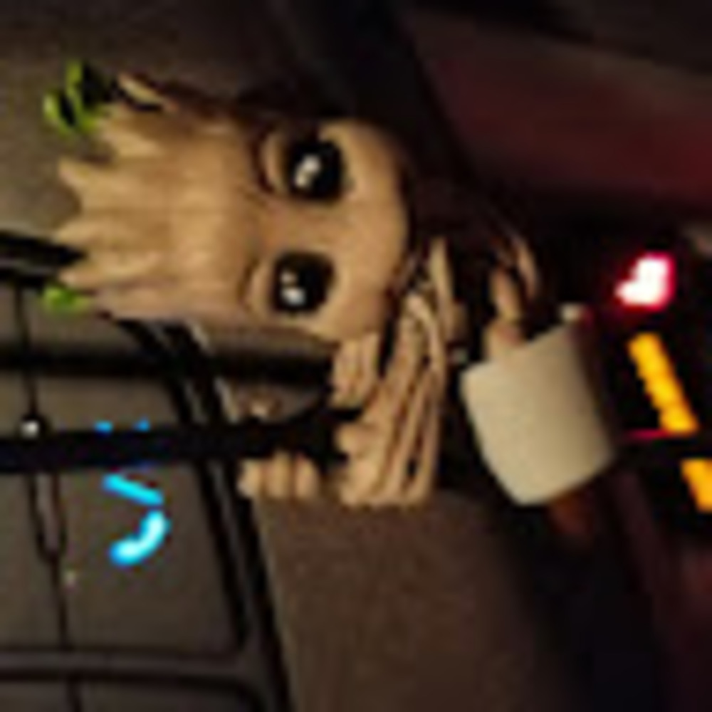 Meet your Posher, Deanna